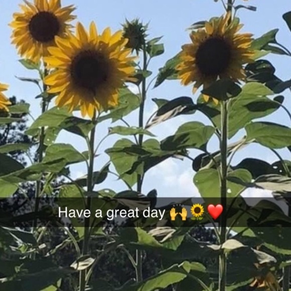 FULL PLEASE LIKE NEW LISTING Share for Share Please comment for share backs 🌻 - Picture 9 of 10